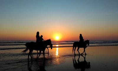 Cheval