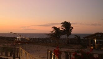 8 jardin sunset (2)