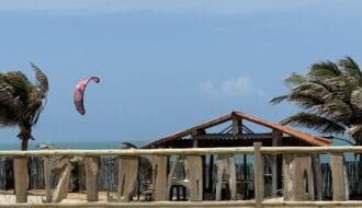 kite